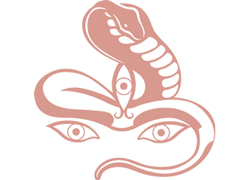 Jivamukti Yoga Stavanger